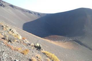 DSC_2277-thumbnail2.jpg